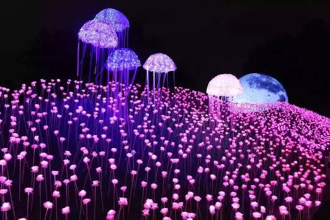 文旅灯光节